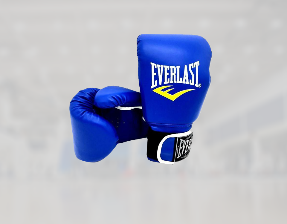 everlast fighting gloves